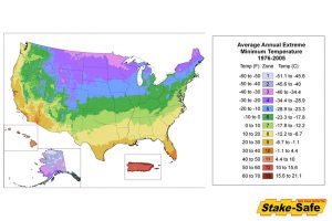 Tree Planting Zones