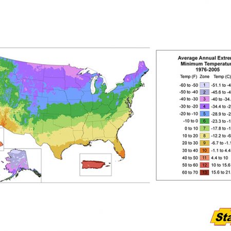 Fruit Trees that Thrive in Planting Zones 3 & 4 and Bear Fruit