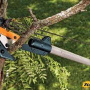 Pruning Upper Branches
