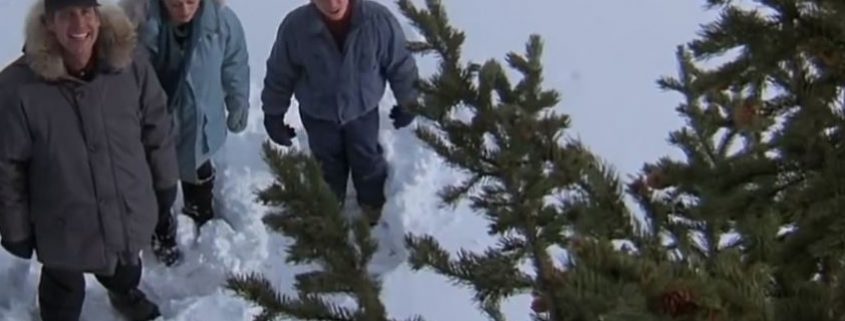 Chopping Down Christmas Trees